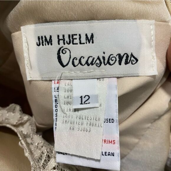 Vintage Jim Hjelm Champaign Long Satin and Lace Occasions Dress Gown Wedding - Picture 8 of 10